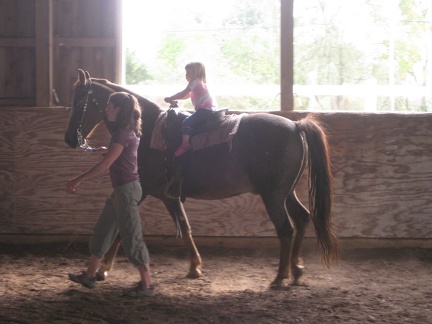 Addison Riding Horse1